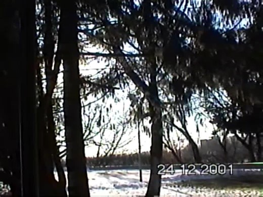 #vhs #vhsedit #nostalgia #vintage #analog #digitalcamera #aesthetic #oldcamera #camcorder #retro #cam #2000s #vibe