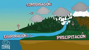 El Ciclo Del Agua - Vídeo Educativo | Happy Learning
