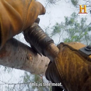 Who do you think will win this season of #alone? Don't miss the finale tomorrow at 10pm ET. Also on STACKTV! | HISTORY