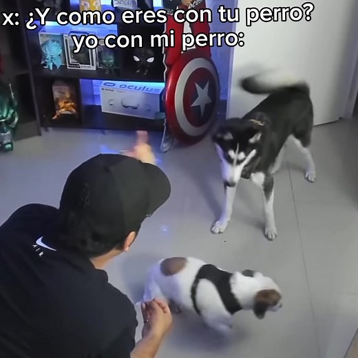 Pelea de Titanes - LocoChon y su Perro