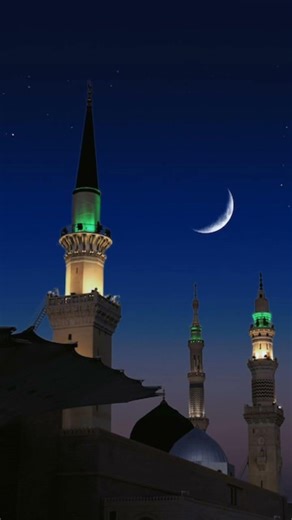 ইসলামিক ভিডিও