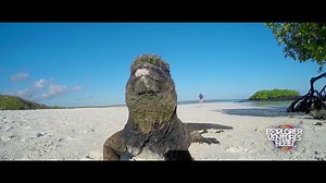 1K views · 756 reactions | Experience a different world. | Explorer Ventures | Facebook