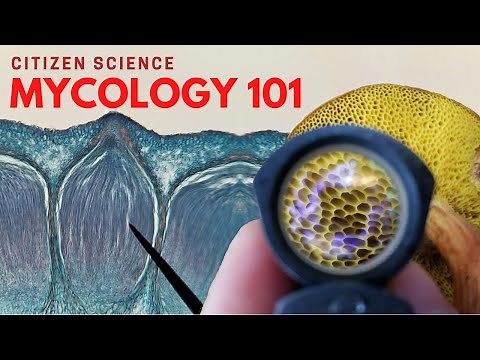 Mycology 101-Citizen Science