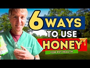 6 Lesser-Known Uses of Honey for Your Dog and Cat’s Health