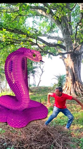 Anaconda Snake in real life 172 #shorts #short #snake #nagin #python #Anaconda #snakes #bigsnake
