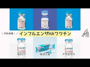 インフルエンザHAワクチンとは 仕組みと効果 接種時期をやさしく解説