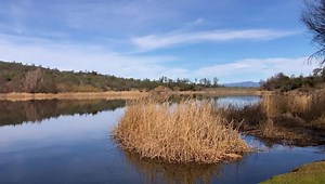 1.3K views · 52 reactions | Highland Springs Recreation Area is a beautiful 3,200 acre watershed managed by Lake County Water Resources. Offering some of the best local trail views, equestrians and avid hikers have enjoyed the beauty and rugged terrain for over 50 years. Fun fact: the reservoir also has a disc golf course! Located at 3600 East Highland Springs Road, Lakeport, CA ♥️ | Visit Lake County, California | Facebook
