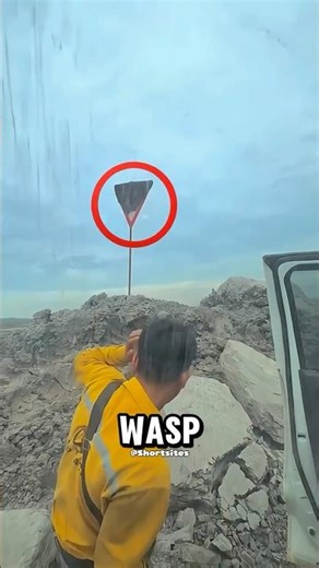 A terrible idea to attack a giant wasp nest 🤯