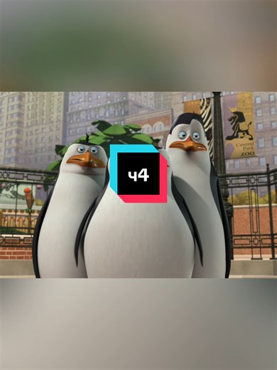 #madagascar #пингвины #мадагаскар #пингвинымадагаскара