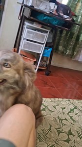 Sino to di man si Maya ito😃😅 | Team Mama & Maya