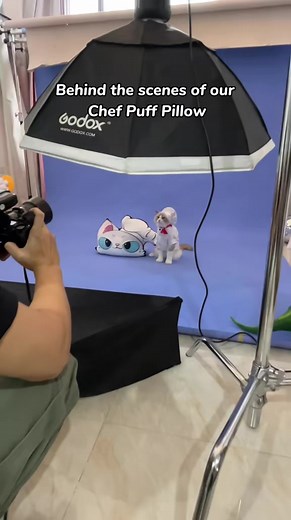 6.3K views · 268 reactions |  Unleash the Cuteness! Introducing the Puff Pillow - a purr-fect snuggle buddy shaped like That Little Puff's adorab | That Little Puff Cat | Facebook