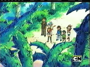 Cartoon Network WOC VHS Recording (November 2010/February 2011)