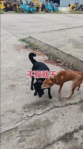 From Blazing Heat to Icy Strength Oct 04