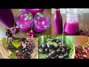 Java Plum Recipes | Jamun Juice & Spicy Chat | நாவல் பழம் ஜூஸ் | ನೇರಳೆ ಹಣ್ಣಿನ ಜ್ಯೂಸು