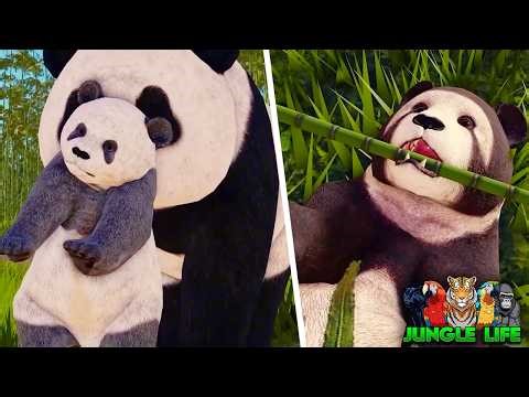 NEW Giant Panda Animal Update! | ROBLOX Jungle Life
