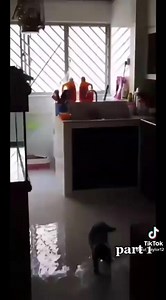 Bos : Ko kenapa datang lambat? Zul : Kucing bukak air paip rumah sampai banjir bos. Bos : Alasan kan, tak logik betul. Zul : Hm tak caya tengok tiktok saya bos 😭🤣 (Kalau korang nak baca artikel dan dapatkan bahan hiburan dengan lebih pantas, jom follow Telegram kami di https://t.me/amazingnara) Kredit: @zul_taylor12 | Amazing Nara