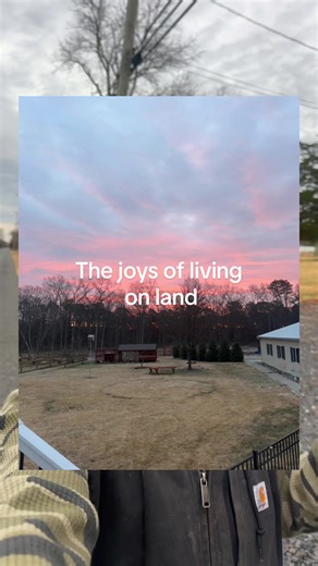 You guys know I’m serious when I start talking with my hands uncontrollably but also WHO would’ve thought that 3 goats would lead me here . #fy #farm #livestock #farmlife #backyardchickens