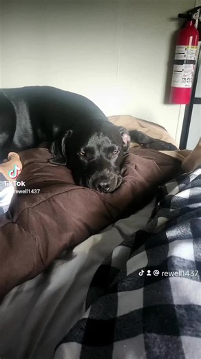 So cute y'all like like like