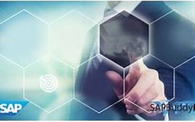 Udemy - SAP Basis Administration