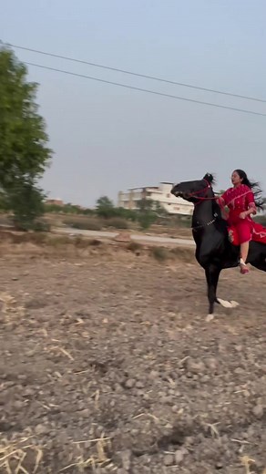 Galloping Through Rural Landscapes on Stunning Horses