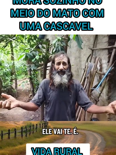 #vidanocampo #fazenda #sitio #historia #vidanaroça