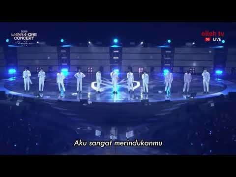 Wanna One - Beautiful Part 2 [ Lirik Lagu Terjemahan ]