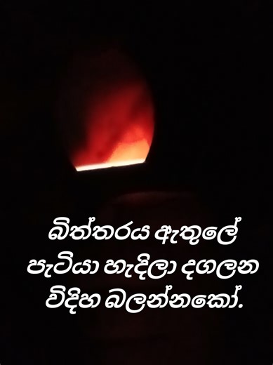 Experimenting with Duck Eggs: A Unique Hatching Process