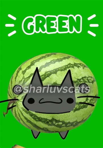 Whimsical Colors and Cats: A Lighthearted Look