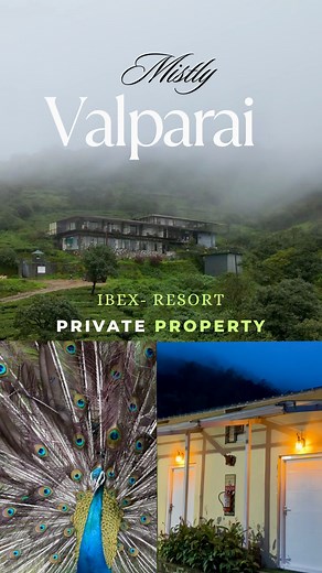 146K views · 11K reactions | @ibex.resorts Valparai (Mistly) 3 Type of room *Deluxe room *super Deluxe room *premium room Mistly Plantation Bunglows Kavarkal, Thalanar Rd, estate, WaterFall post, Valparai, Booking & more information [ +91 73581 57300 ] #valparai #ibexresort #ibexresortvalparai #valparaistay #luxuerystay #nature #valparai7thheaven #neethivlog #pollachi #coimbatore | Neethi Vlog | Facebook