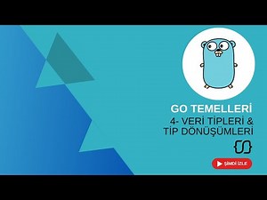 Go Lang Temelleri – 4: Veri Tipleri ve Tip Dönüşümleri