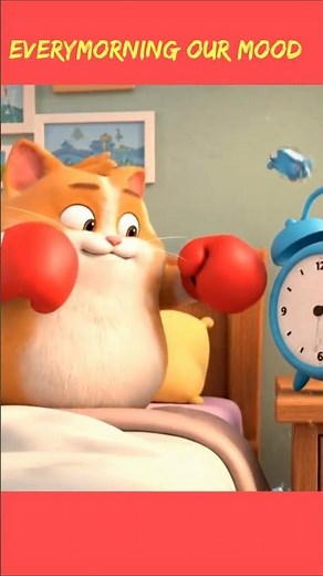 Cat snoring peacefully on the bed — alarm clock rings loudly.