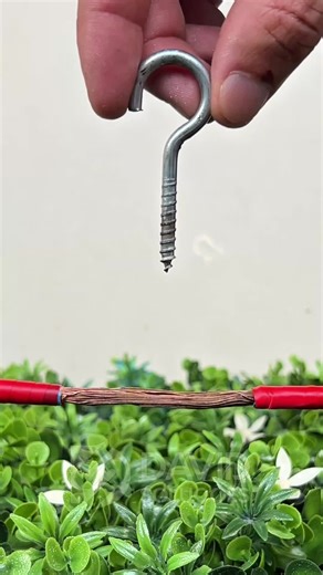 Electricians Will Lose Their Minds With This Trick The simple method that changes electrical joints forever! #USA #ElectricHack #PapainhaTips