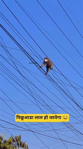 पिछुआडा लाल हो जायेगा 😂 #comedy #barachattiteam #funnyvideo #funnycomedy #youtubeshorts