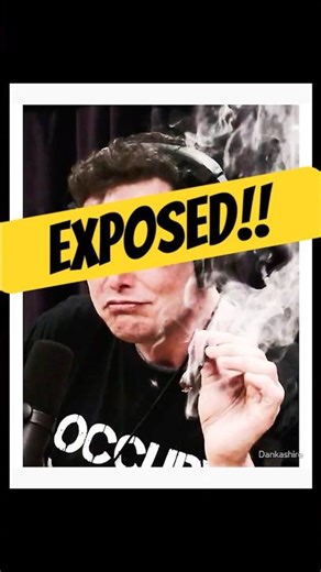 Bill Gates gets sleepy on plants!