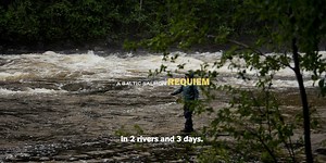 18K views · 221 reactions | Free falling is a fly fishing documentary...