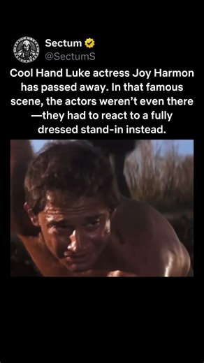 Cool Hand Luke — Behind the Scene