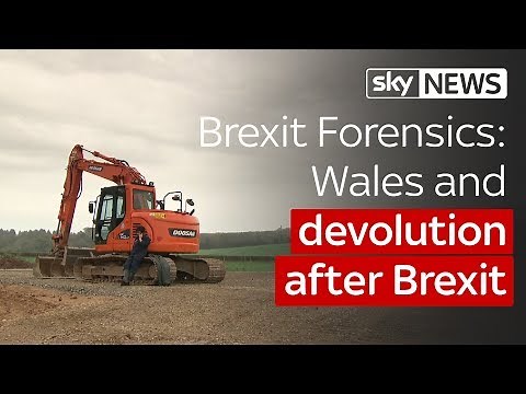 Brexit Forensics: Wales and devolution after Brexit
