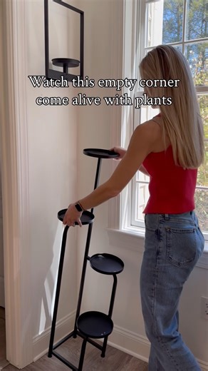 Watch this empty corner come alive with plants #plants