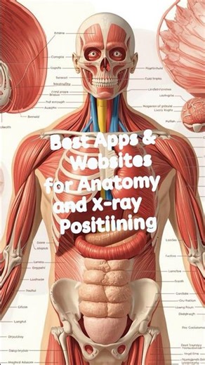 Best Apps & Websites for Anatomy & X-Ray Positioning #anatomy #radiography #xray #anatomy #radtech