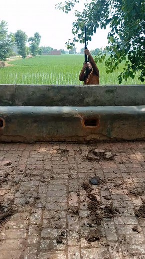 Yeh Rahi vedeo #wildhunting #birdhunting #hunting #reelsviralシfb | Akmal hunter