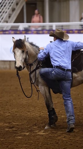 Downunder Horsemanship on Instagram: "Q&A: Is it normal for a horse to buck every once in a while? Professional Clinician Jeff Davis answers: I've had my horse for five years. The first year or two, he bucked me off twice. Three years later, I was practicing loping to emergency stops and he bucked me right off. Some people told me this is "normal", and that going three years without bucking under saddle is "really good" for a horse. Is that the case? Where do I go from here in order to feel safe