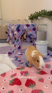 760K views · 12K reactions | Dindin loves showing off how to use all the stuff in her house | Dindin.inparis | Facebook