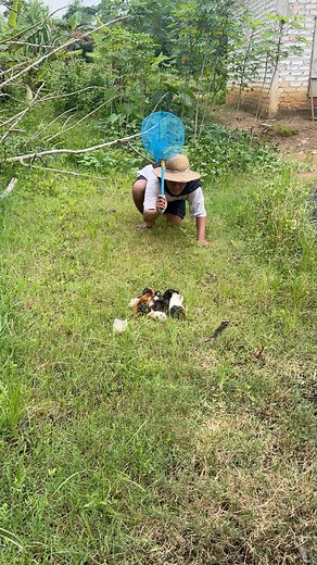 86K views · 621 reactions | Catch many animals using fishing nets | Oji TV | Facebook