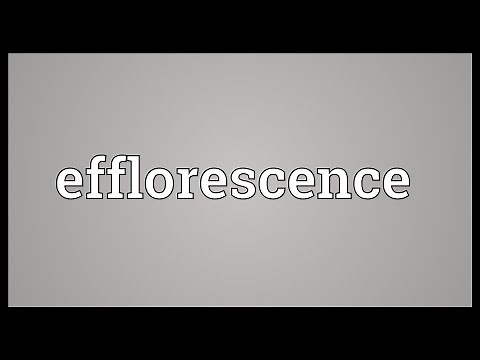 Efflorescence Meaning