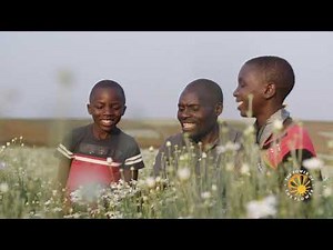 The Power of the Flower through Pyrethrins. A sustainable solution that works.