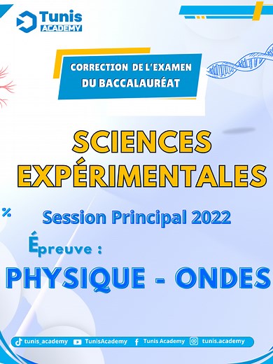Révisions en Physique pour le Bac Sc 2025