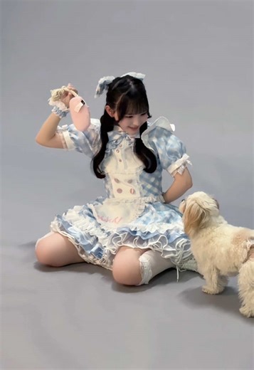 キンパ(カメラマンさんの🐶)と遊ぶはるちゃん #のんふぃく