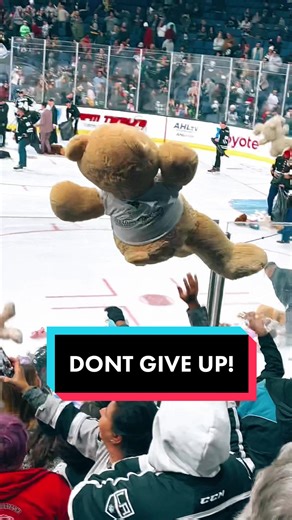 Hershey Bears Teddy Bear Toss 2025