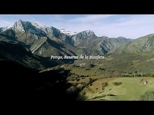 Ponga, Reserva de la Biosfera