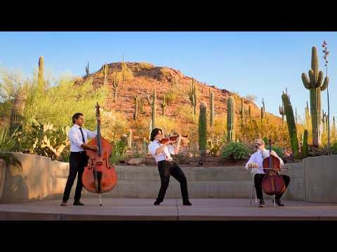 We Remade Bruno Mars’ “Risk It All” Using Only Strings